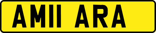 AM11ARA