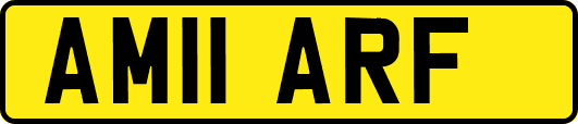 AM11ARF