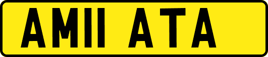 AM11ATA
