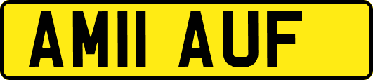 AM11AUF