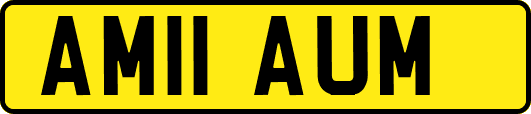 AM11AUM