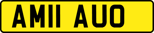 AM11AUO