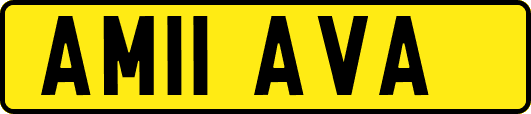 AM11AVA