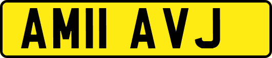 AM11AVJ