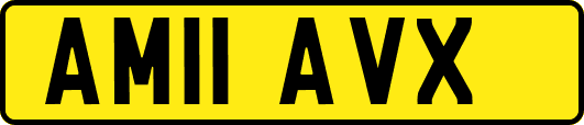 AM11AVX