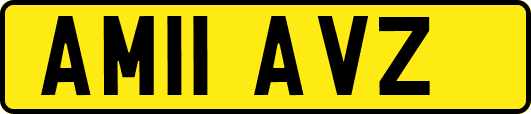 AM11AVZ