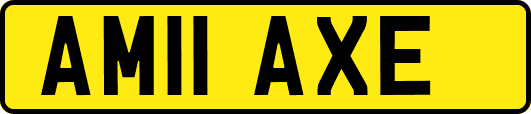 AM11AXE