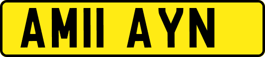 AM11AYN