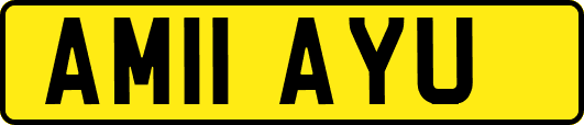 AM11AYU