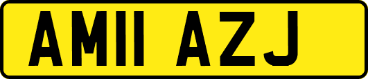 AM11AZJ