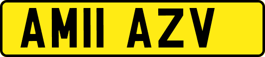 AM11AZV