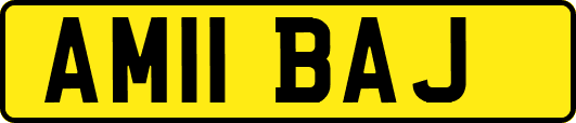 AM11BAJ
