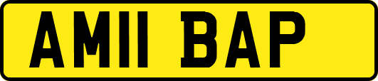 AM11BAP