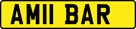 AM11BAR