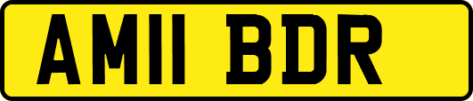 AM11BDR
