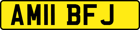 AM11BFJ