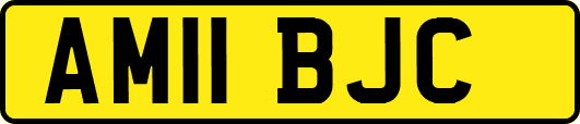 AM11BJC
