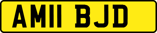 AM11BJD