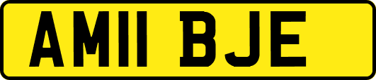 AM11BJE