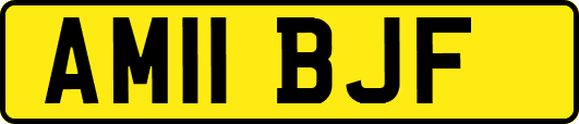AM11BJF