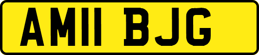 AM11BJG