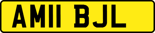 AM11BJL