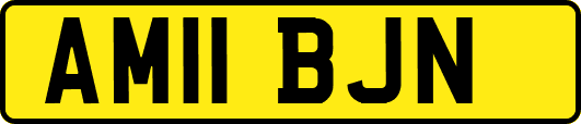 AM11BJN