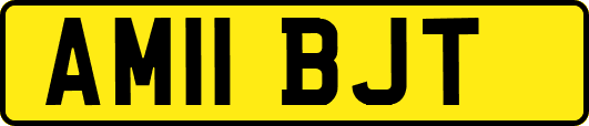 AM11BJT