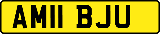 AM11BJU