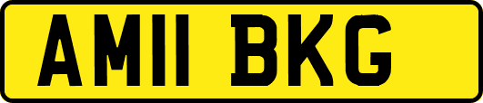AM11BKG