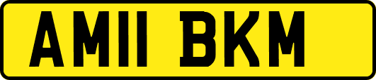AM11BKM