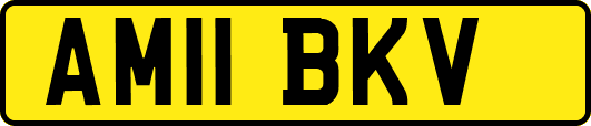 AM11BKV