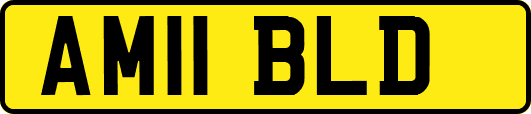 AM11BLD