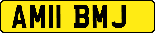 AM11BMJ