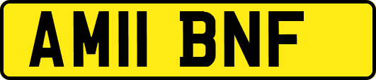 AM11BNF