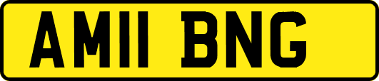 AM11BNG
