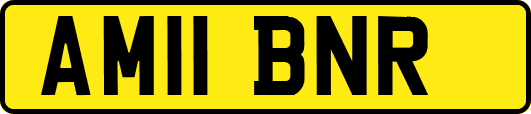 AM11BNR