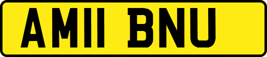 AM11BNU