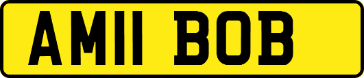AM11BOB