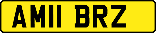 AM11BRZ