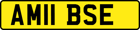 AM11BSE