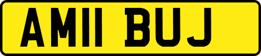 AM11BUJ