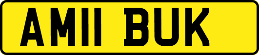AM11BUK