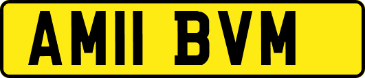 AM11BVM