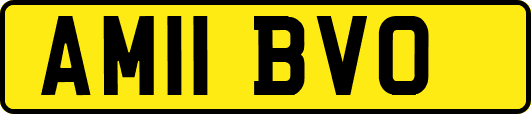 AM11BVO