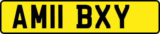 AM11BXY