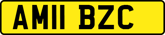 AM11BZC