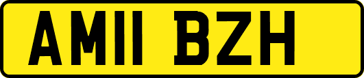 AM11BZH