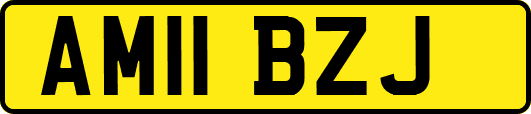 AM11BZJ