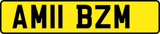 AM11BZM